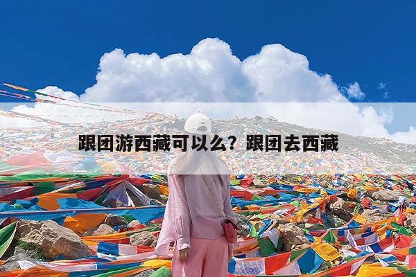 跟团游西藏可以么?跟团去西藏