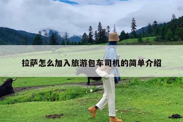 拉萨怎么加入旅游包车司机的简单介绍