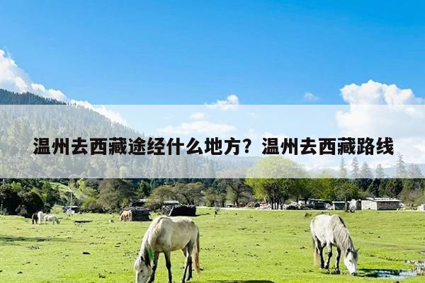 温州去西藏途经什么地方?温州去西藏路线