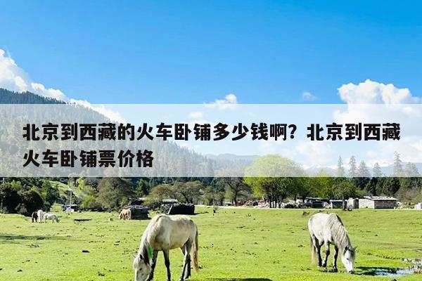 北京到西藏的火车卧铺多少钱啊?北京到西藏火车卧铺票价格