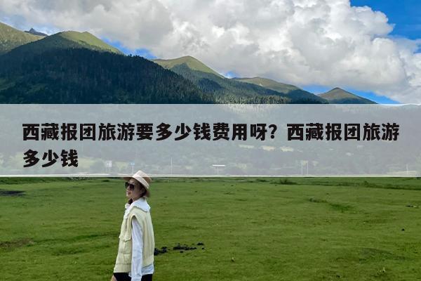 西藏报团旅游要多少钱费用呀?西藏报团旅游多少钱