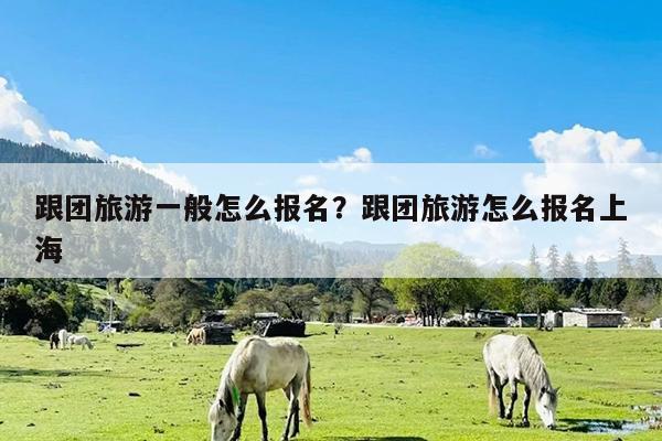 跟团旅游一般怎么报名?跟团旅游怎么报名上海