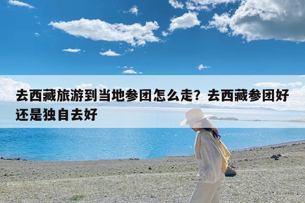 去西藏旅游到当地参团怎么走?去西藏参团好还是独自去好