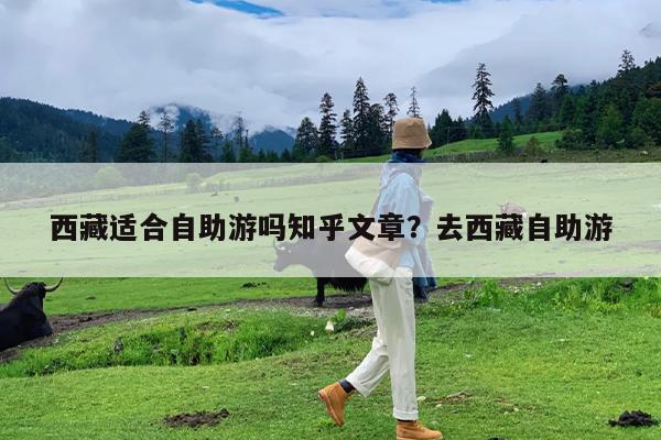 西藏适合自助游吗知乎文章?去西藏自助游