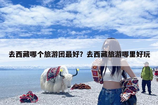 去西藏哪个旅游团最好?去西藏旅游哪里好玩