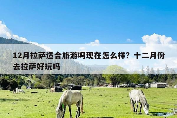 12月拉萨适合旅游吗现在怎么样?十二月份去拉萨好玩吗