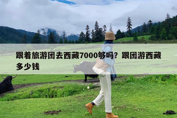 跟着旅游团去西藏7000够吗?跟团游西藏多少钱