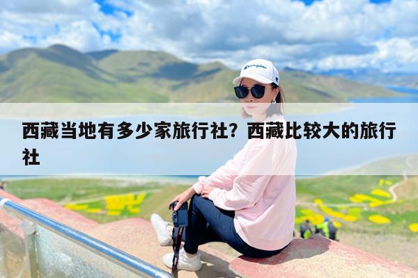 西藏当地有多少家旅行社?西藏比较大的旅行社
