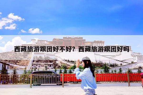 西藏旅游跟团好不好?西藏旅游跟团好吗
