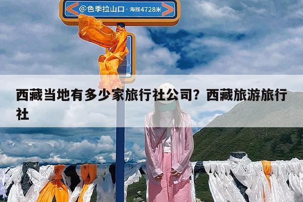 西藏当地有多少家旅行社公司?西藏旅游旅行社