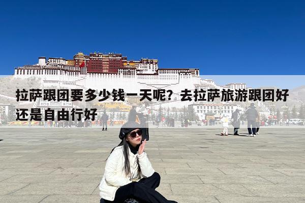 拉萨跟团要多少钱一天呢?去拉萨旅游跟团好还是自由行好