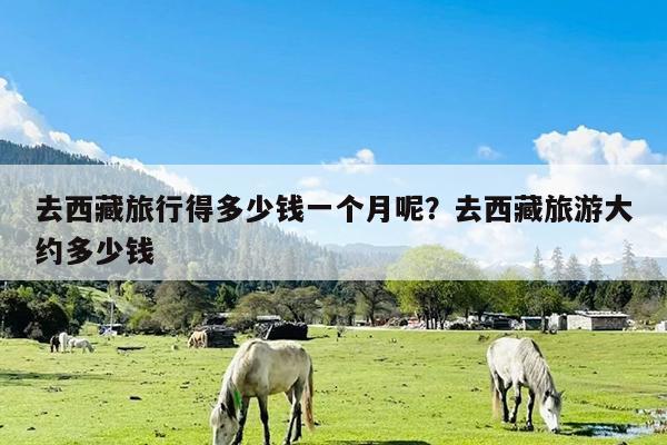 去西藏旅行得多少钱一个月呢?去西藏旅游大约多少钱
