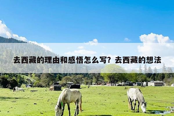 去西藏的理由和感悟怎么写?去西藏的想法