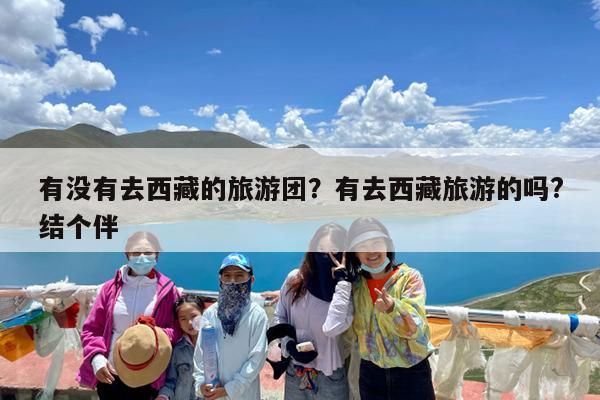 有没有去西藏的旅游团?有去西藏旅游的吗?结个伴