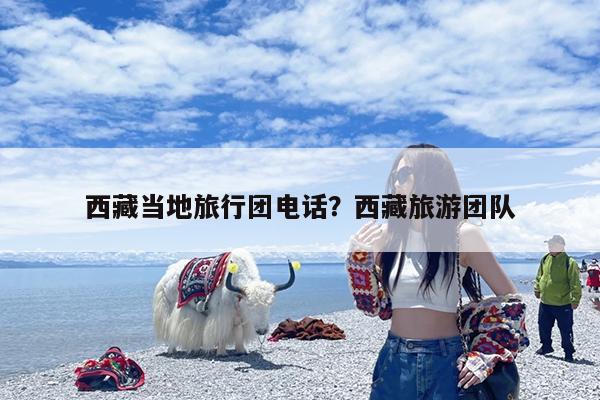 西藏当地旅行团电话?西藏旅游团队