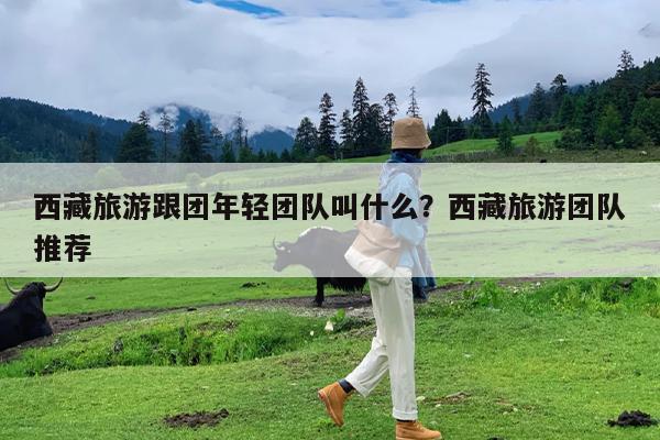 西藏旅游跟团年轻团队叫什么?西藏旅游团队推荐