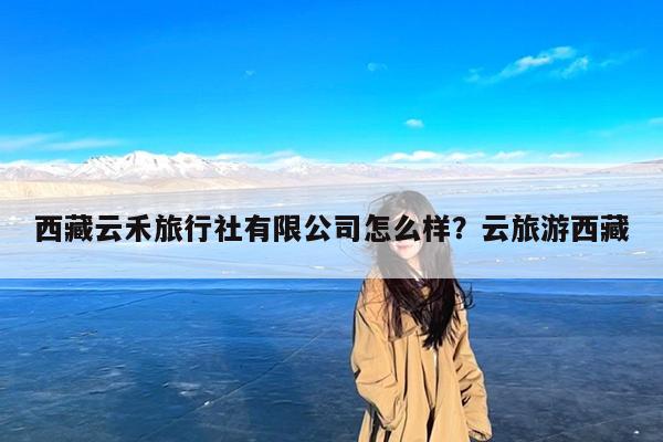 西藏云禾旅行社有限公司怎么样?云旅游西藏