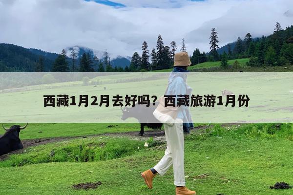 西藏1月2月去好吗?西藏旅游1月份