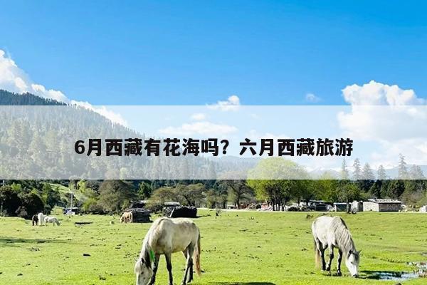 6月西藏有花海吗?六月西藏旅游