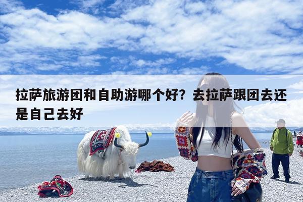 拉萨旅游团和自助游哪个好?去拉萨跟团去还是自己去好