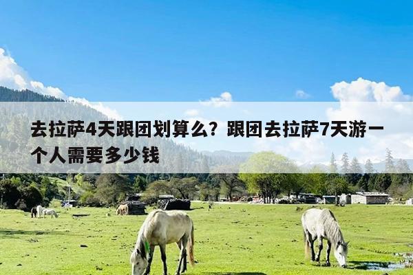 去拉萨4天跟团划算么?跟团去拉萨7天游一个人需要多少钱
