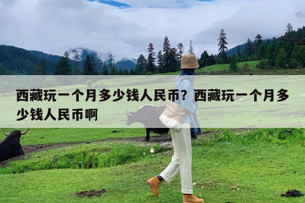 西藏玩一个月多少钱人民币?西藏玩一个月多少钱人民币啊
