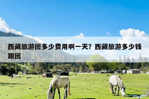 西藏旅游团多少费用啊一天?西藏旅游多少钱跟团