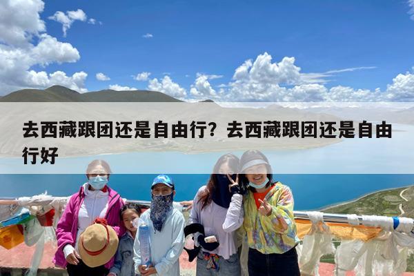 去西藏跟团还是自由行?去西藏跟团还是自由行好