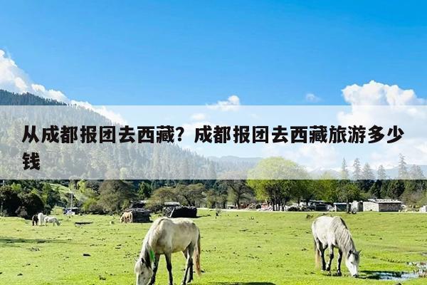 从成都报团去西藏?成都报团去西藏旅游多少钱