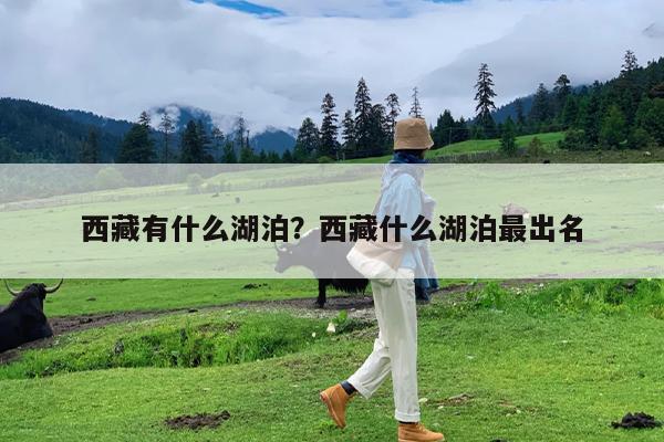 西藏有什么湖泊?西藏什么湖泊最出名