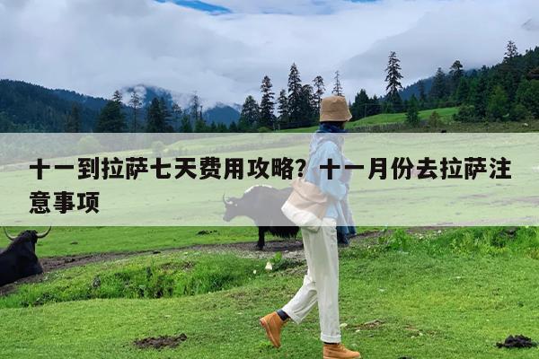 十一到拉萨七天费用攻略?十一月份去拉萨注意事项